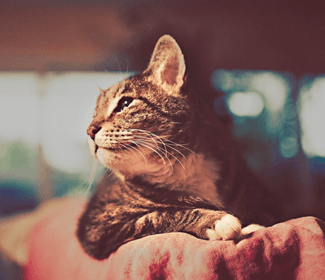 測繪CAD丨批量標注坐標,你不需要嗎?